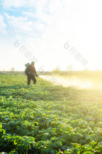 农民喷雾土豆种植园农药保护昆虫植物真菌感染化学物质农业农业农业综合企业农业行业