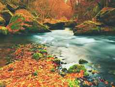 秋天自然颜色秋天山河色彩斑斓的砾石叶子弯曲的树