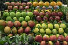 混合水果出售街市场
