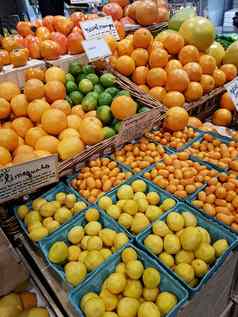 托盘柑橘类水果橙子柠檬行金橘limequa