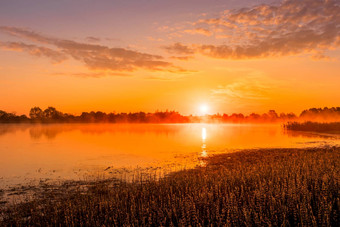 风景优美的视图美丽的日出黎明池塘湖春天早期夏天早....