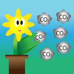 花碳二氧化物概念减少全球气候变暖