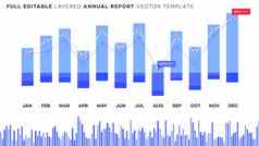 全球年度金融报告分析统计数据可编辑的图表