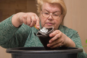 上了年纪的女人特写镜头倒堆肥幼苗能抹刀