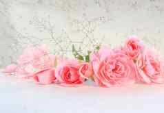 粉红色的玫瑰白色背景完美的背景问候卡片邀请婚礼生日情人节一天母亲的一天