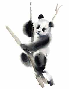 水彩熊猫熊
