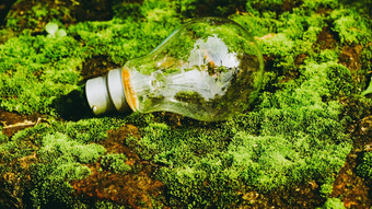 荧光光灯泡阳光绿色自然背景绿色业务经济生态工业开始的想法创新背景绿色最小化人类影响环境概念