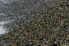 卵石海滩洗海波小石头形成海岸
