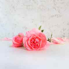 粉红色的玫瑰花瓣白色背景完美的背景问候卡片邀请婚礼生日情人节一天母亲的一天
