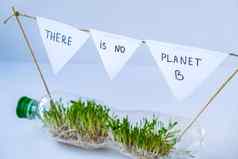 地球年轻的绿色植物塑料瓶生态环境谈话地球一天概念全球污染地球幼苗