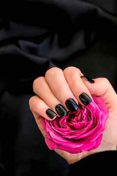 黑色的指甲修指甲持有粉红色的玫瑰花黑色的丝绸织物最小的平躺自然女手