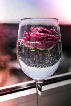 酒玻璃填满粉红色的花petalson白色最小的现代生活假期概念情人节女士一天背景设计