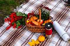 秋天野餐热水瓶南瓜棉花分支羊角面包概念温暖的阳光明媚的秋天一天野餐公园木篮子