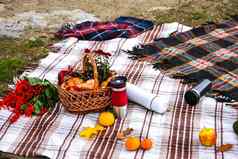 秋天野餐热水瓶南瓜棉花分支羊角面包概念温暖的阳光明媚的秋天一天野餐公园木篮子