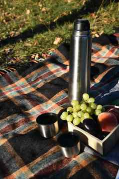 秋天野餐茶热水瓶葡萄桃子水果茶毯子户外午餐野餐茶热水瓶