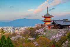 小镇《京都议定书》樱花季节日本