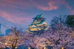 《暮光之城》大阪城堡樱桃花朵季节