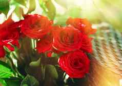 花束红色的玫瑰花假期礼物美丽的新鲜的花园花首页装饰