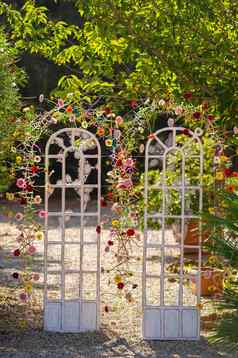拱婚礼仪式街装饰装饰拱门形式门新鲜的花