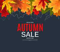 闪亮的秋天叶子出售横幅业务折扣卡向量插图
