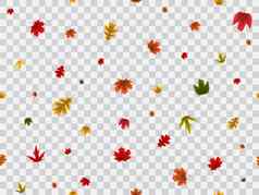 秋天叶子无缝的模式透明的背景向量插图