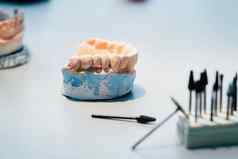 模型牙齿使石膏下巴牙科技术人员