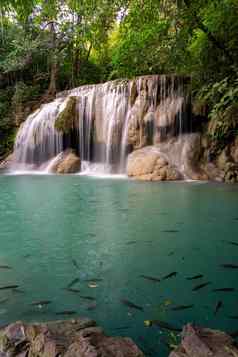 清洁绿色翡翠水瀑布包围小树大树绿色颜色鱼生活池塘处女瀑布北省泰国