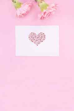 美丽的新鲜的优雅的康乃馨花花束白色问候礼物卡孤立的明亮的粉红色的颜色背景前视图平躺概念