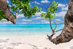 美热带海滩Similan岛屿安达曼海泰国