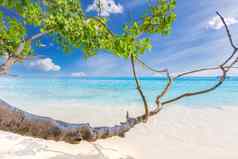 美丽的桑迪海滩波崩溃桑迪海岸Similan岛屿美丽的热带海Similan岛Similan国家公园泰国