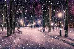 降雪冬天公园晚上圣诞节装饰灯人行道上覆盖雪