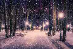 降雪冬天公园晚上圣诞节装饰灯人行道上覆盖雪