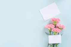 美丽的优雅的粉红色的康乃馨花明亮的光蓝色的表格背景概念母亲的一天花礼物前视图平躺开销