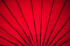 日本东方伞