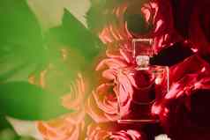 奢侈品香味野生玫瑰优雅的花气味美化妆品产品