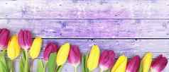 美丽的郁金香春天自然背景网络横幅卡设计