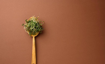 年轻的豆芽microgreen<strong>木勺子</strong>棕色（的）背景前视图