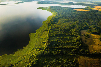 前视图湖德里维亚蒂森林斯维特拉娜湖泊国家公园日落美丽的的地方城市白俄罗斯岛湖白俄罗斯