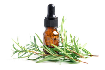 迷迭香芳香至关重要的石油新鲜的群草芳香疗法Herbal瓶