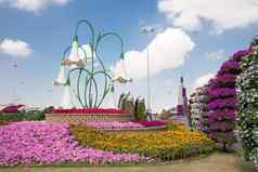 迪拜阿联酋1月奇迹花园迪拜1月迪拜阿联酋美丽的奇迹花园几百万花