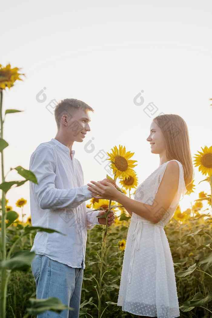 美丽的夫妇有趣的向日葵字段男人给女朋友向
