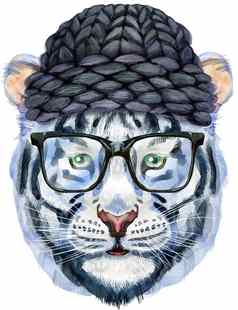 色彩斑斓的白色老虎针织黑色的他眼镜野生动物水彩插图白色背景