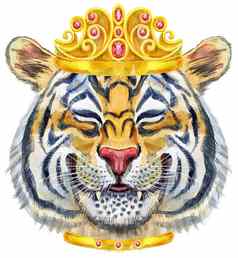 色彩斑斓的橙色微笑老虎金皇冠野生动物水彩插图白色背景