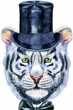 色彩斑斓的白色老虎油缸他野生动物水彩插图白色背景