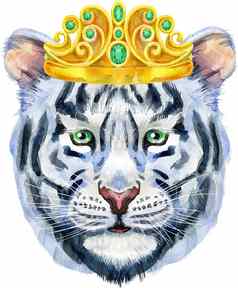 色彩斑斓的白色老虎金皇冠野生动物水彩插图白色背景