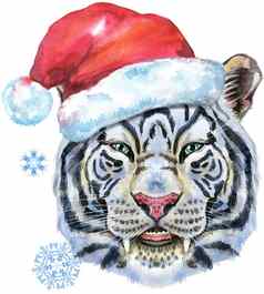 色彩斑斓的白色老虎圣诞老人他野生动物水彩插图白色背景