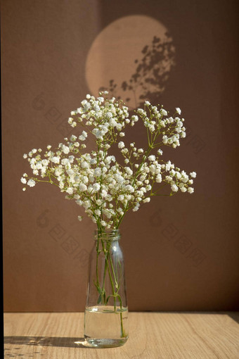 简约生活玻璃花瓶白色干花棕色（的）背景时尚的简约生活大气照片花