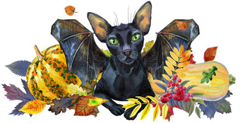 黑色的猫蝙蝠翅膀南瓜秋天叶子