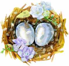 手画水彩艺术鸟巢鸡蛋花复活节设计