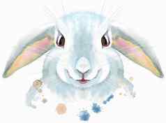 水彩插图白色兔子